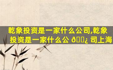 乾象投资是一家什么公司,乾象投资是一家什么公 🌿 司上海